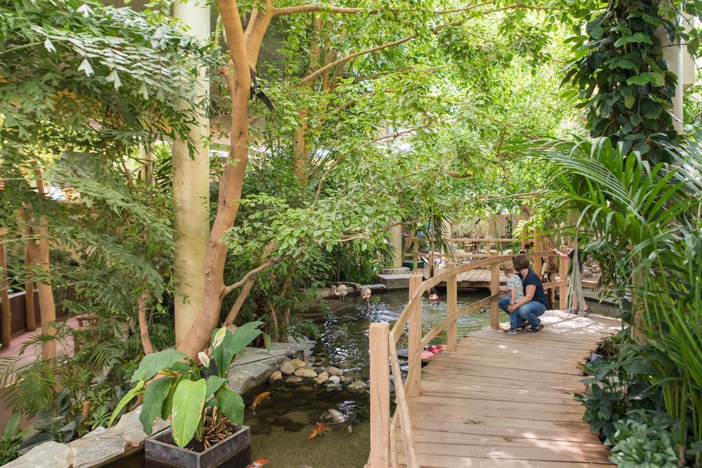 Center Parcs Port Zelande Beach Ouddorp Dış mekan fotoğraf