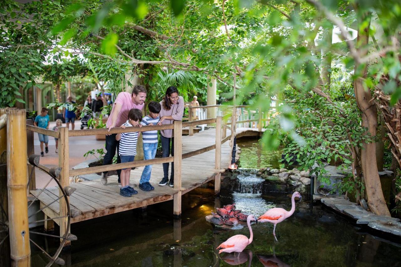 Center Parcs Port Zelande Beach Ouddorp Dış mekan fotoğraf